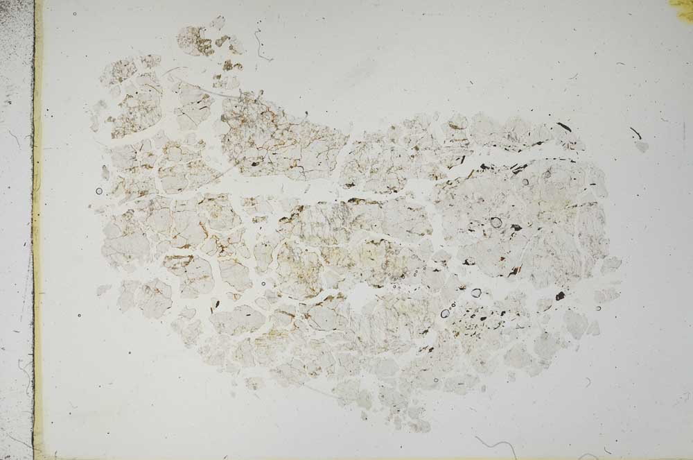 Plane Polarized, S16754