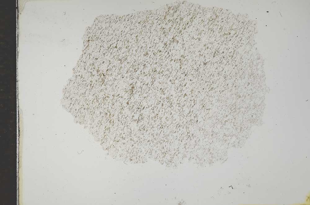 Plane Polarized, S16759
