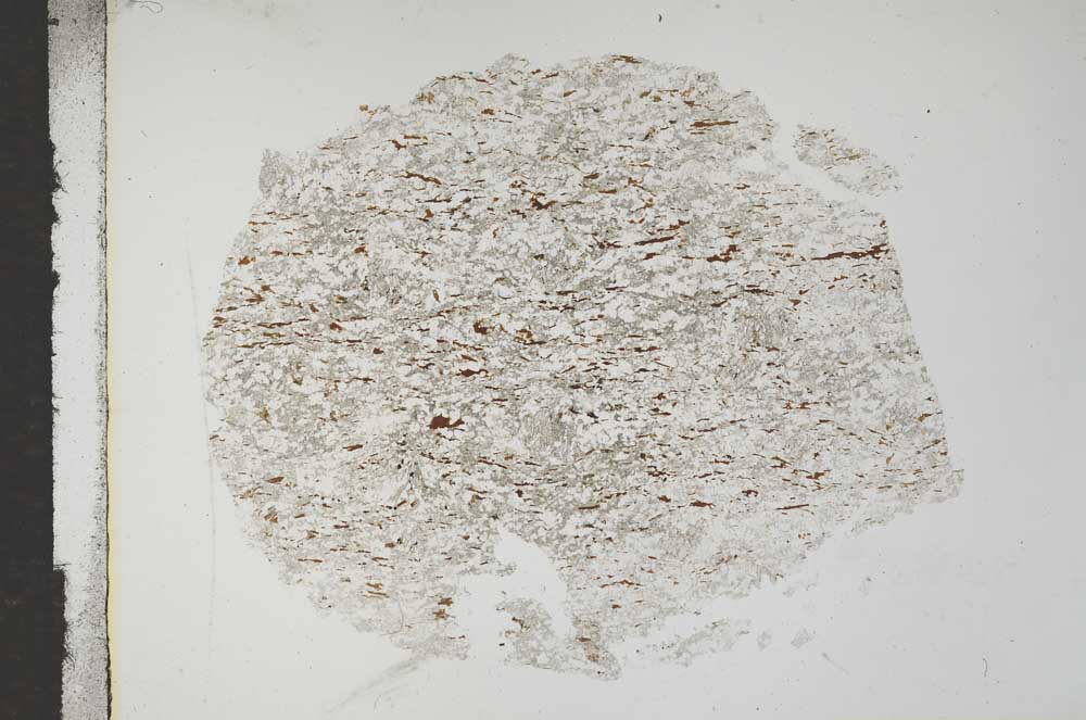 Plane Polarized, S16772