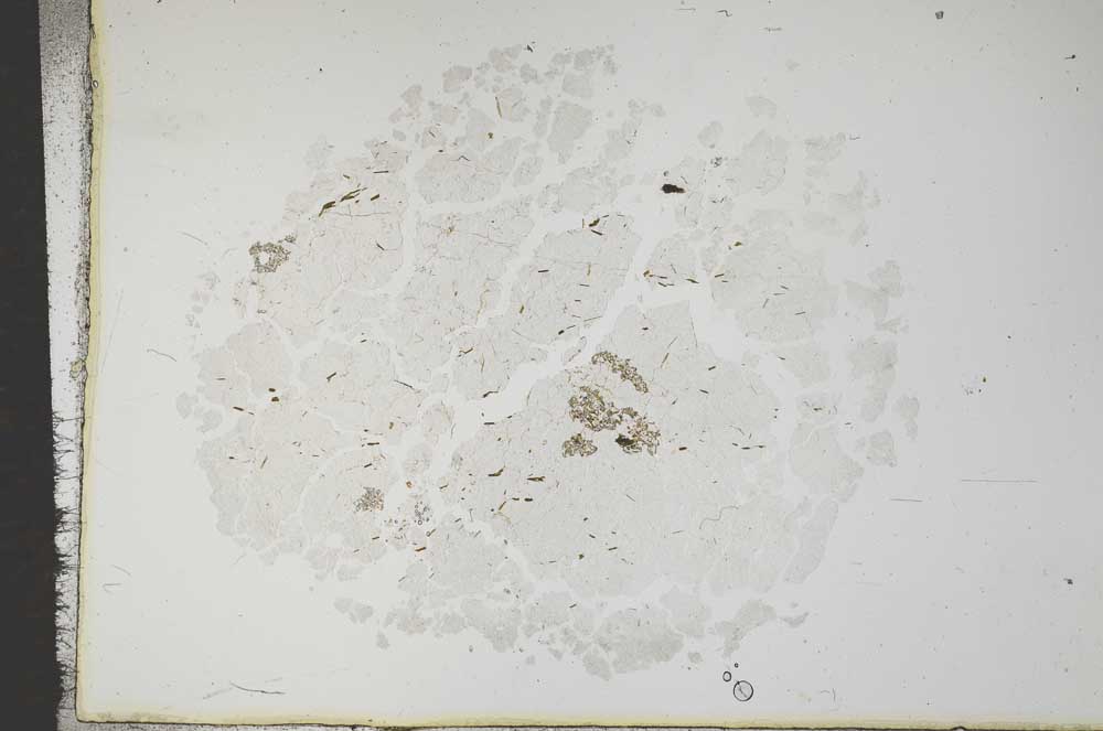Plane Polarized, S16773