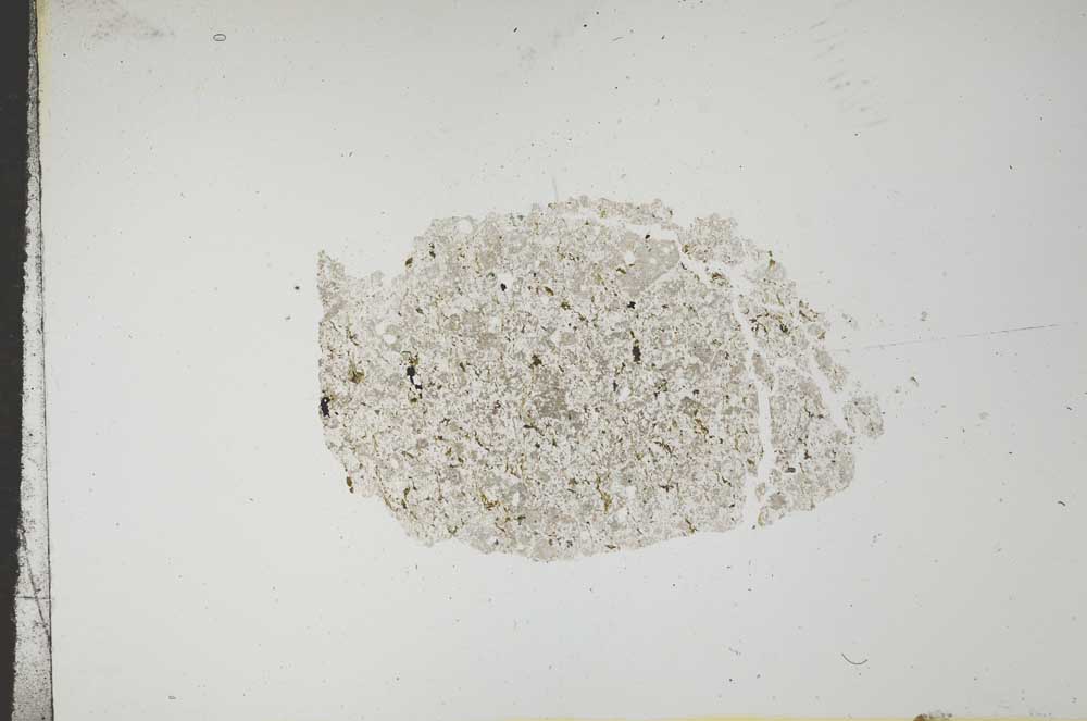 Plane Polarized, S16782