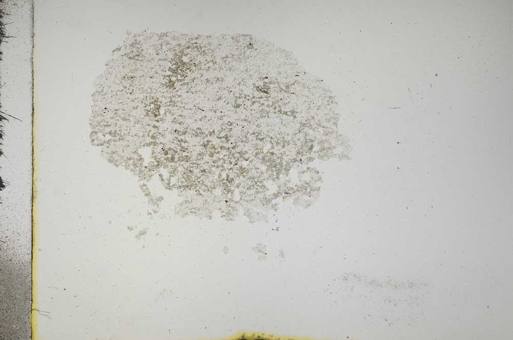 Plane Polarized, S16784