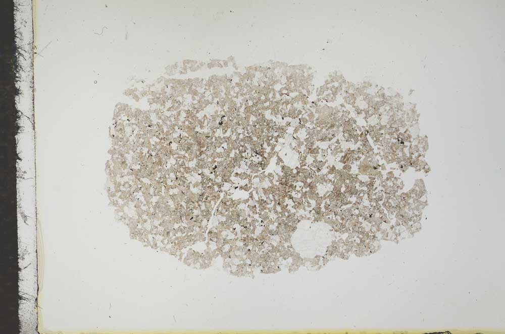Plane Polarized, S16785