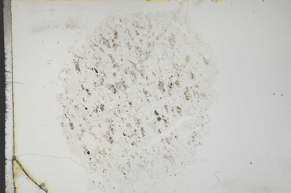 Plane Polarized, S16789