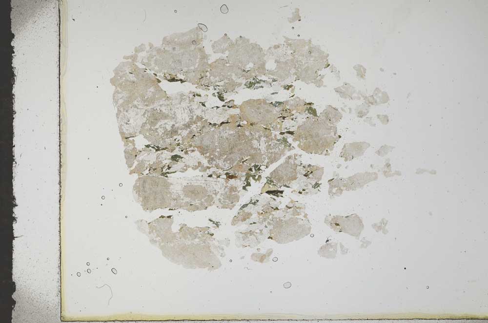 Plane Polarized, S16792