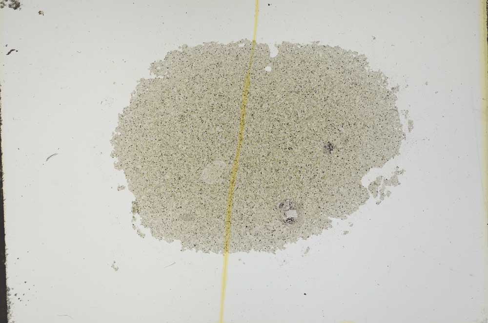 Plane Polarized, S16797