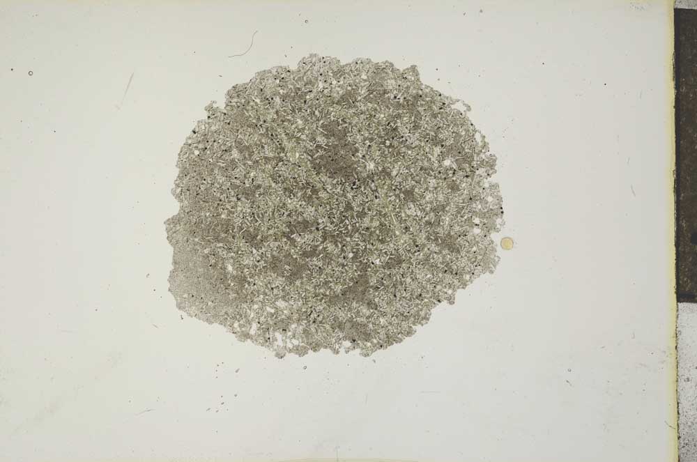 Plane Polarized, S16805