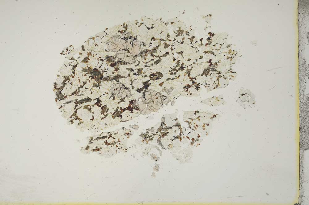 Plane Polarized, S16813