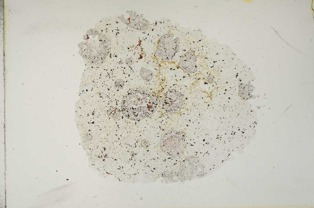 Plane Polarized, S16819