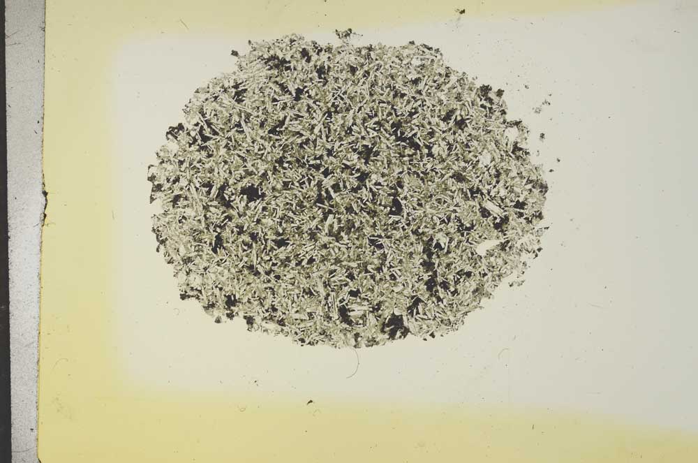 Plane Polarized, S16821