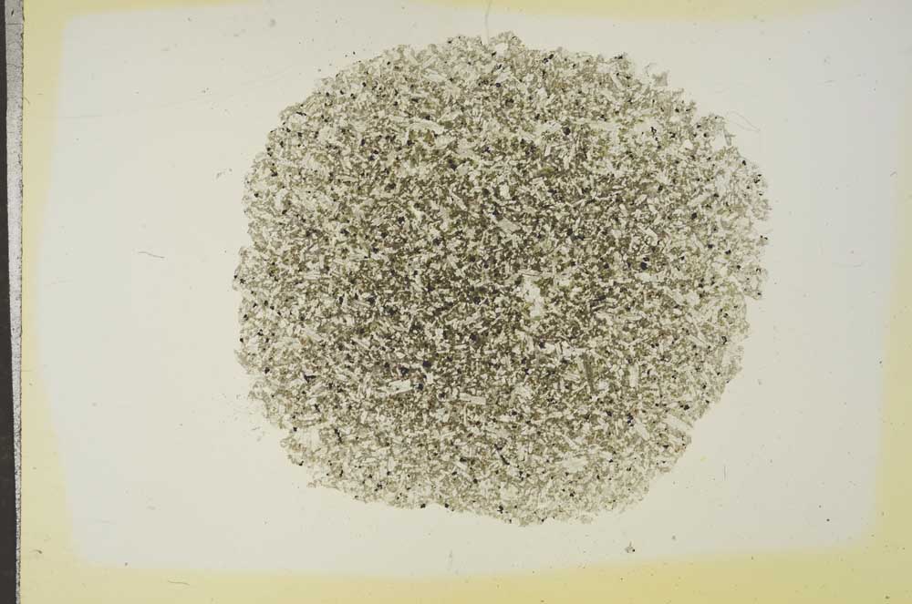 Plane Polarized, S16822