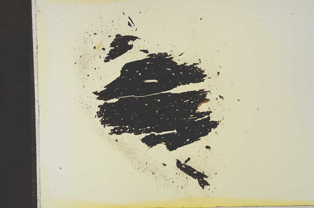 Plane Polarized, S16825
