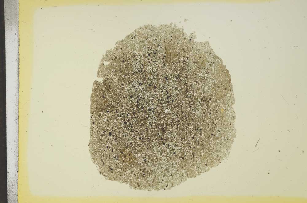 Plane Polarized, S16826