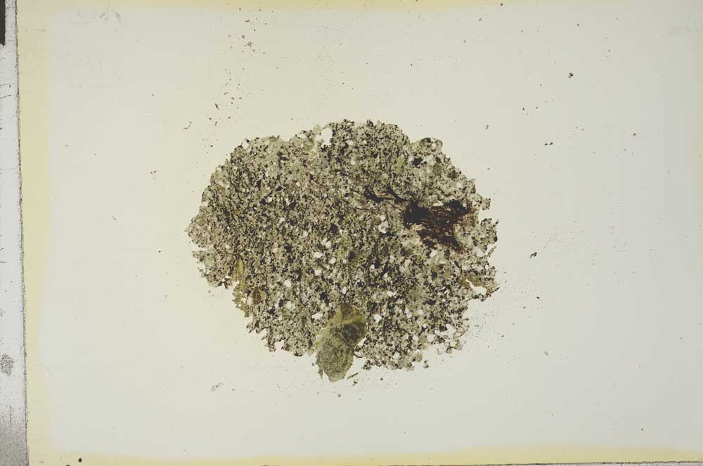 Plane Polarized, S16827