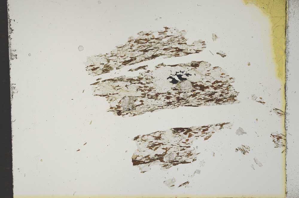 Plane Polarized, S16836