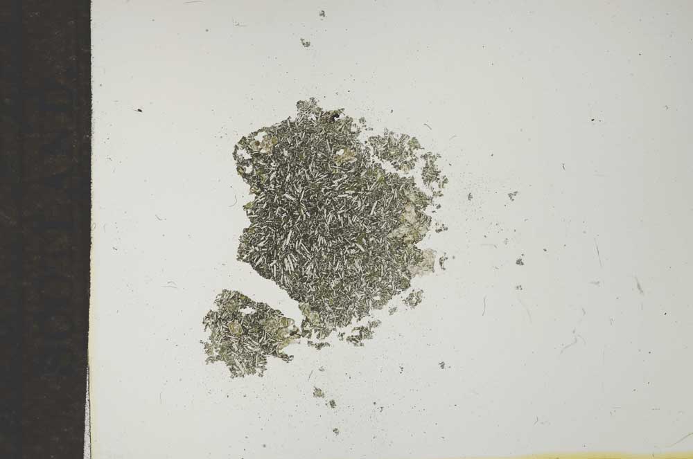 Plane Polarized, S16850