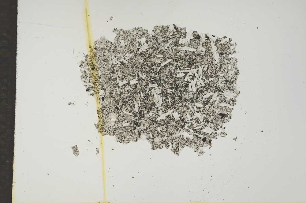 Plane Polarized, S16853