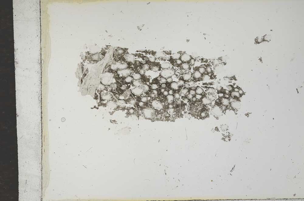 Plane Polarized, S16854