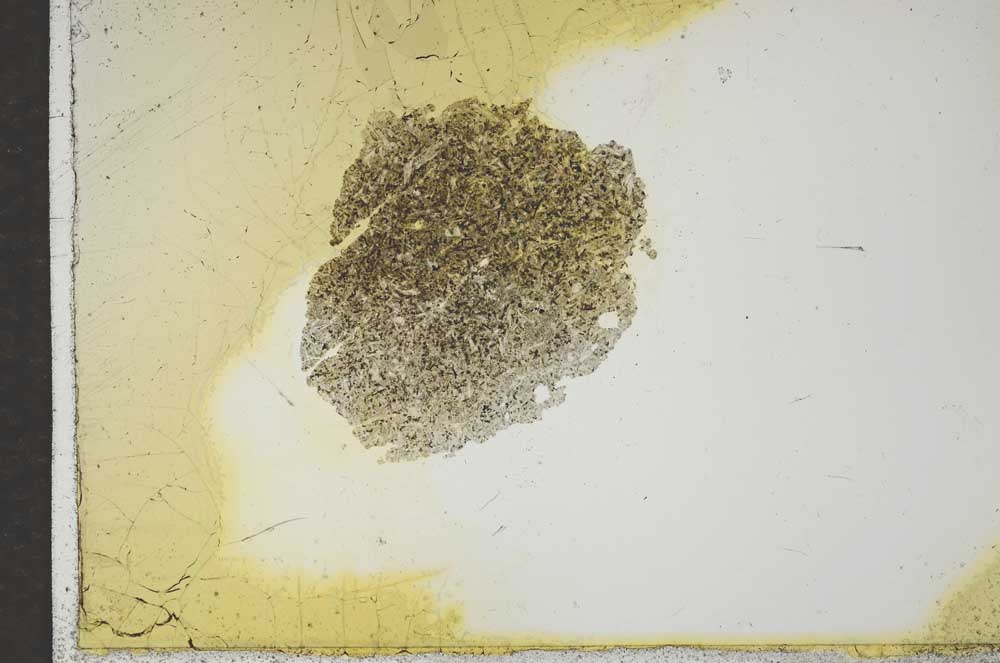 Plane Polarized, S16857