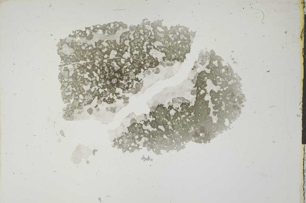 Plane Polarized, S16858