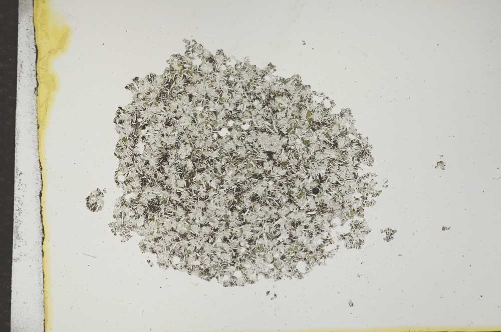 Plane Polarized, S16861