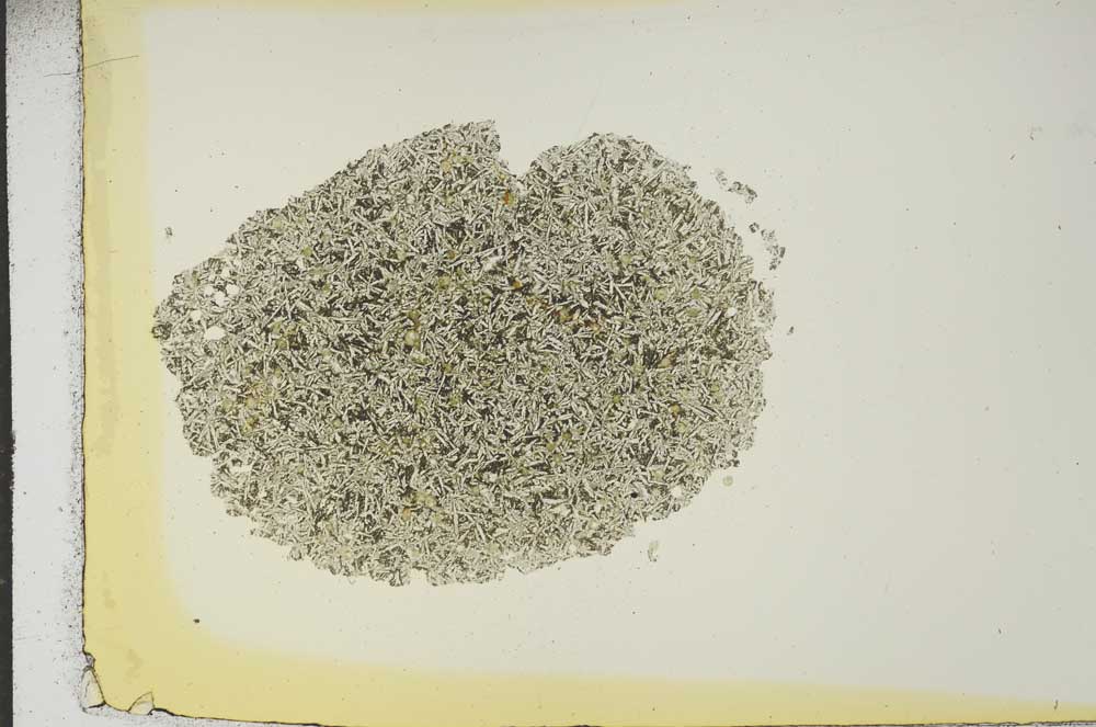 Plane Polarized, S16866