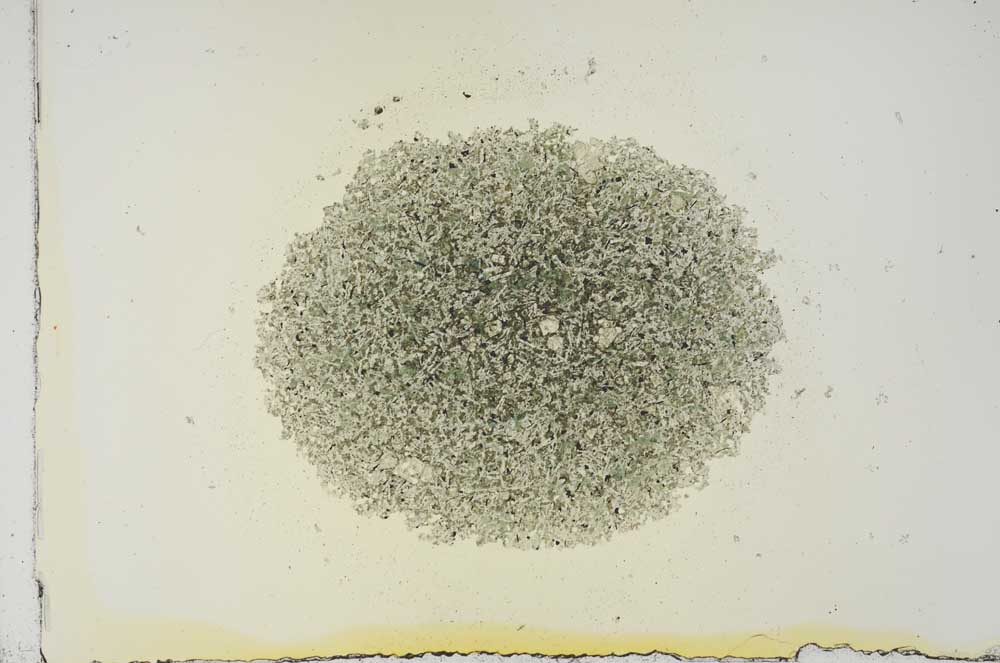 Plane Polarized, S16870