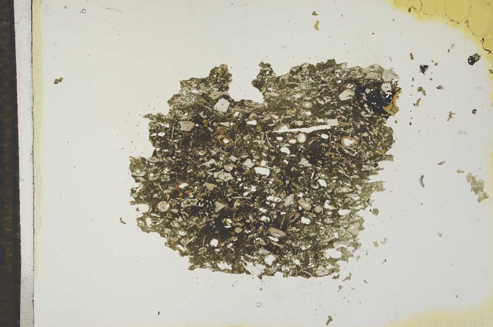 Plane Polarized, S16932