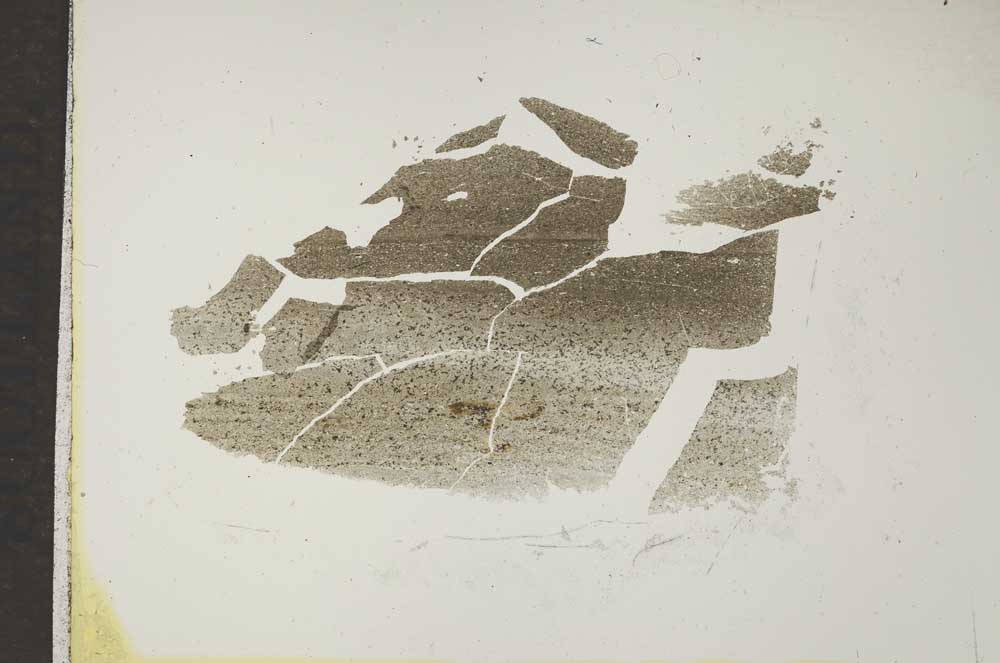 Plane Polarized, S16937