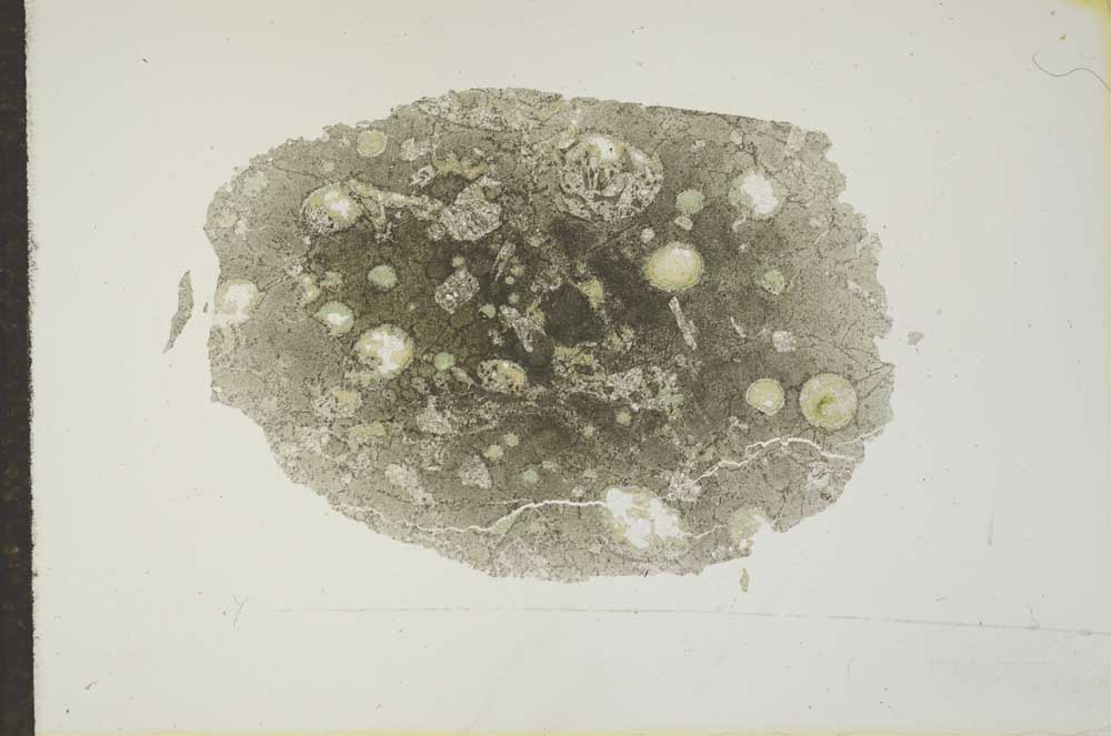 Plane Polarized, S16945