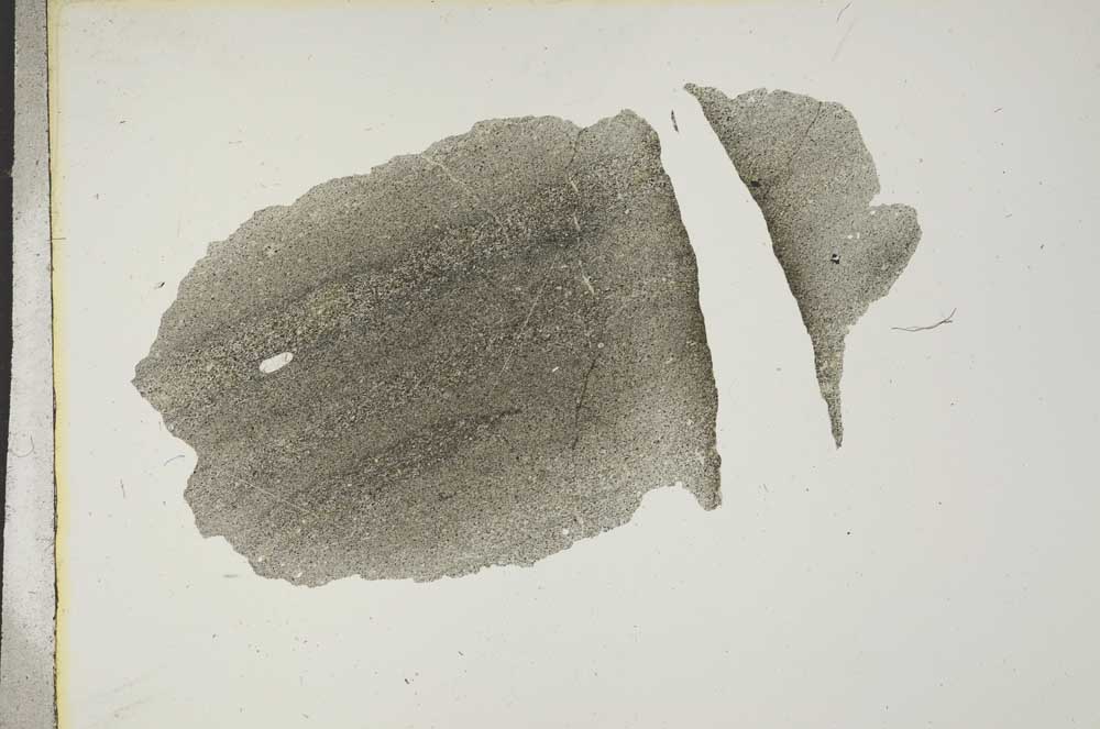 Plane Polarized, S16946