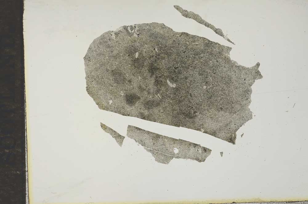 Plane Polarized, S16947