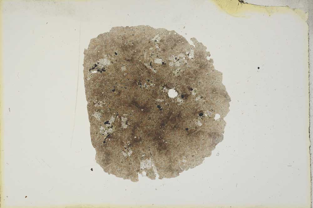 Plane Polarized, S16949