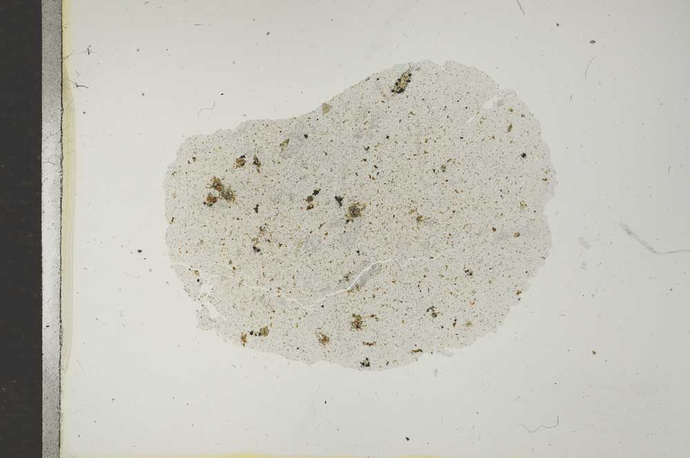 Plane Polarized, S16952