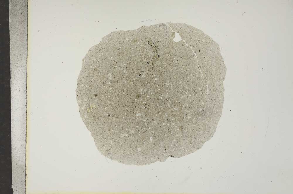 Plane Polarized, S16953