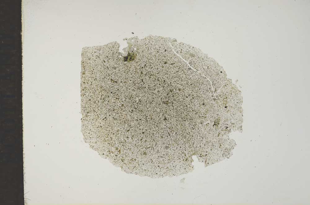 Plane Polarized, S16956