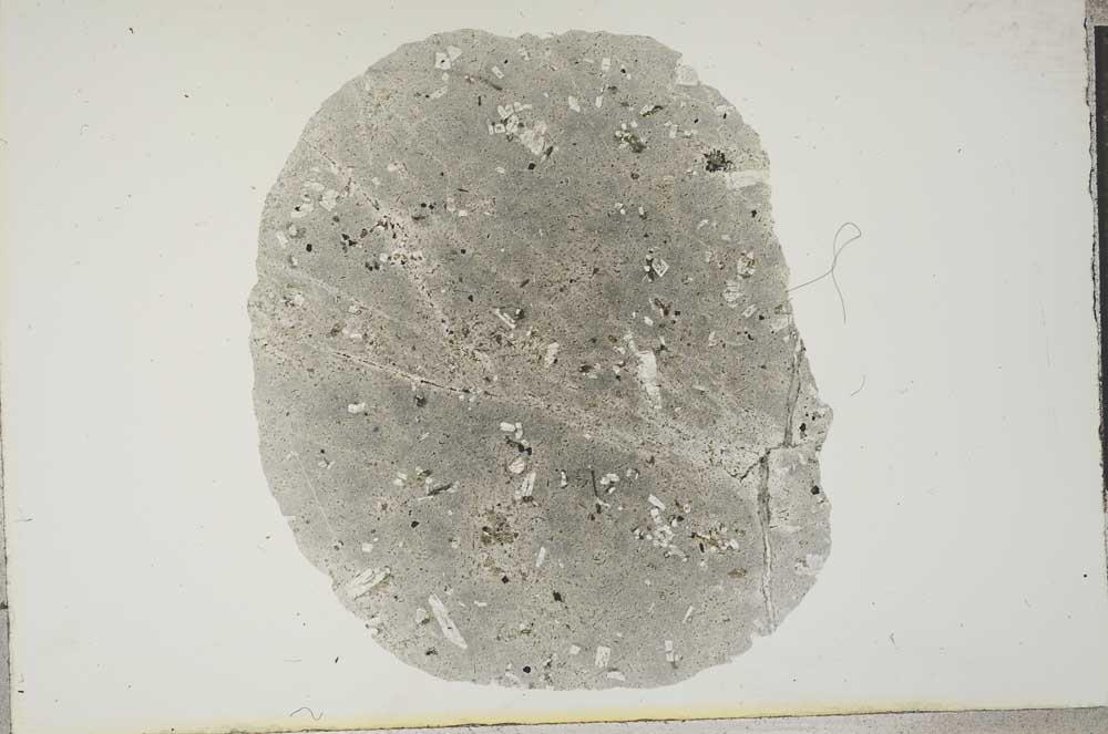 Plane Polarized, S16957