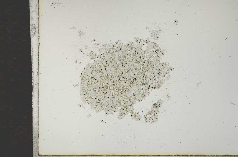 Plane Polarized, S16960