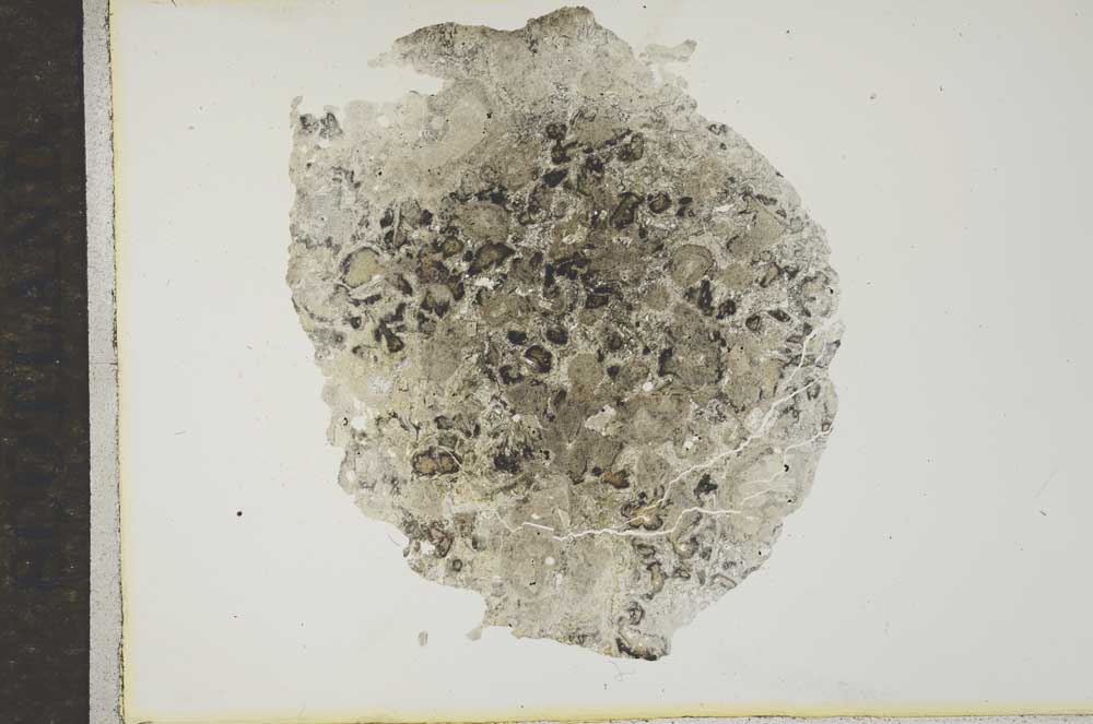 Plane Polarized, S16963