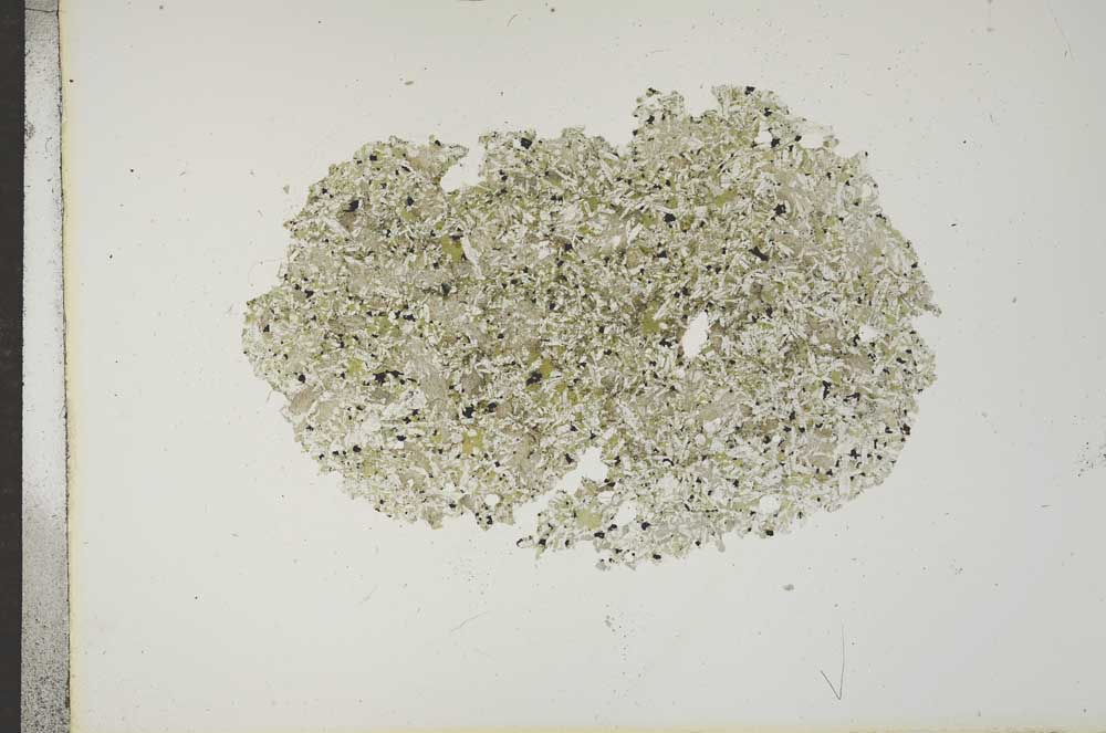 Plane Polarized, S16964