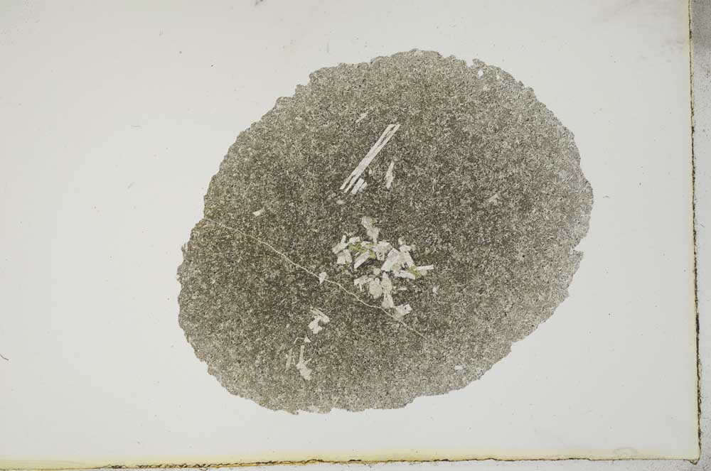 Plane Polarized, S16966