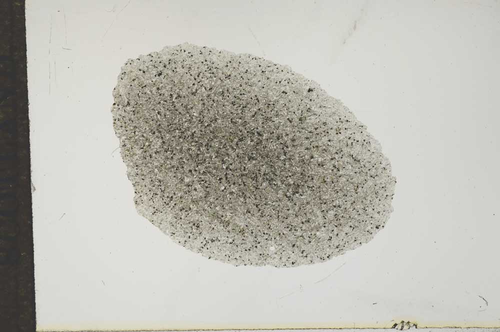Plane Polarized, S16972
