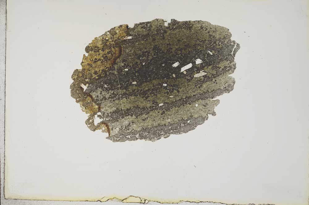 Plane Polarized, S16975