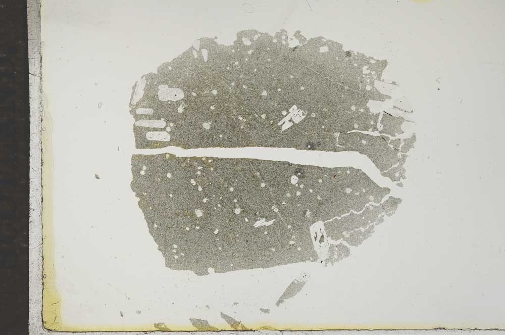 Plane Polarized, S16976