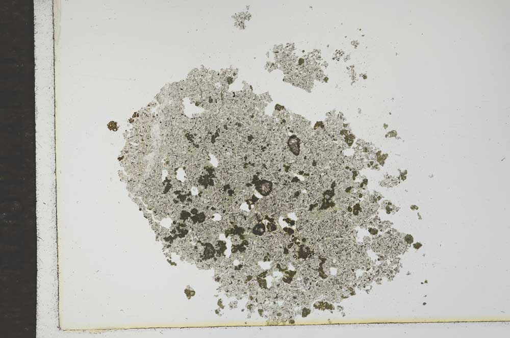 Plane Polarized, S16984