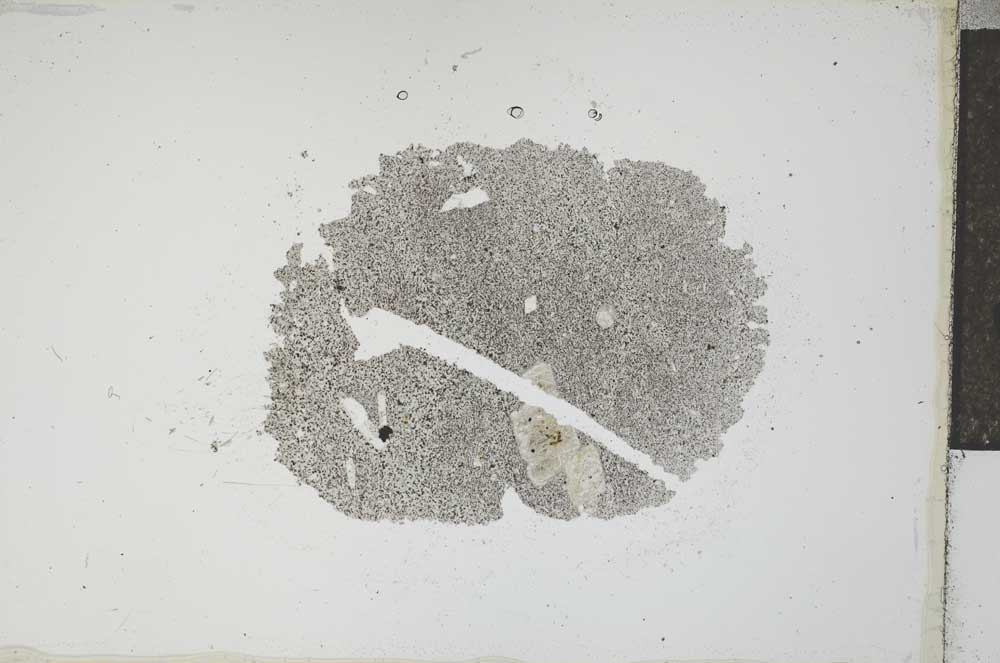 Plane Polarized, S16988