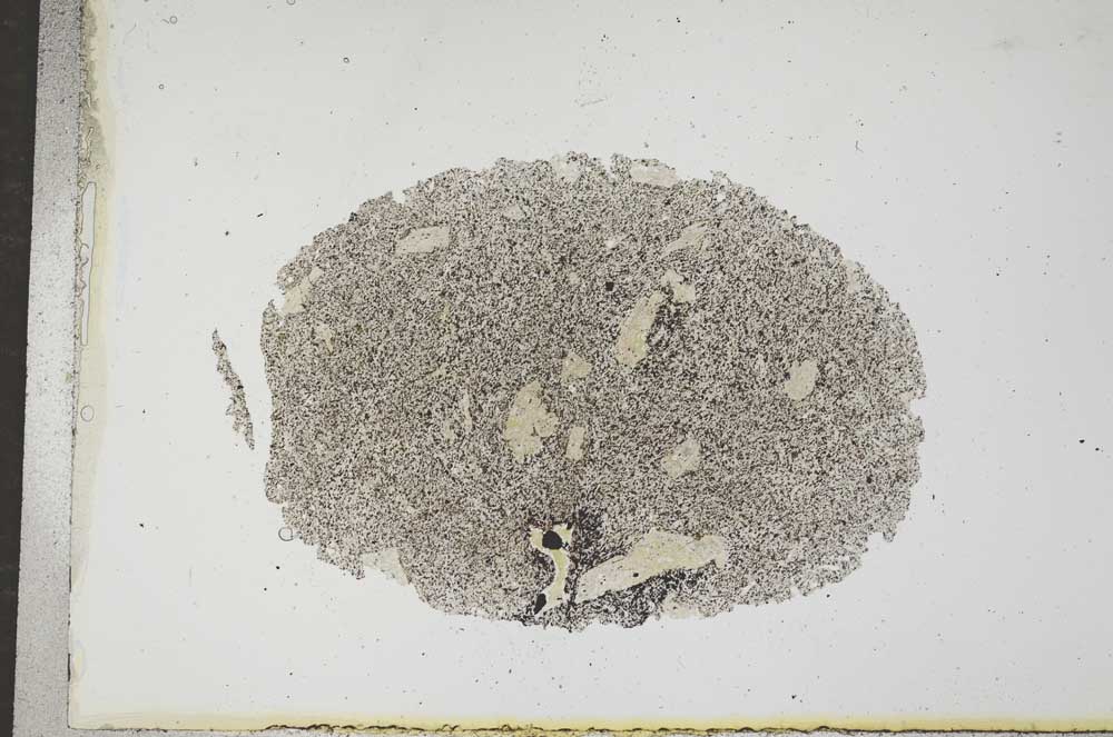 Plane Polarized, S16989