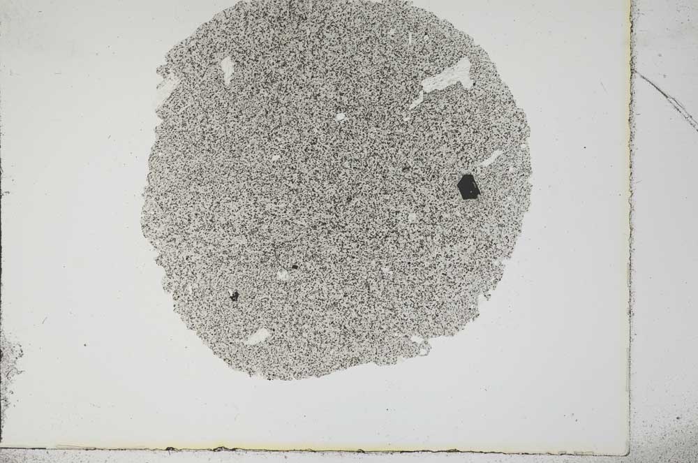 Plane Polarized, S16990
