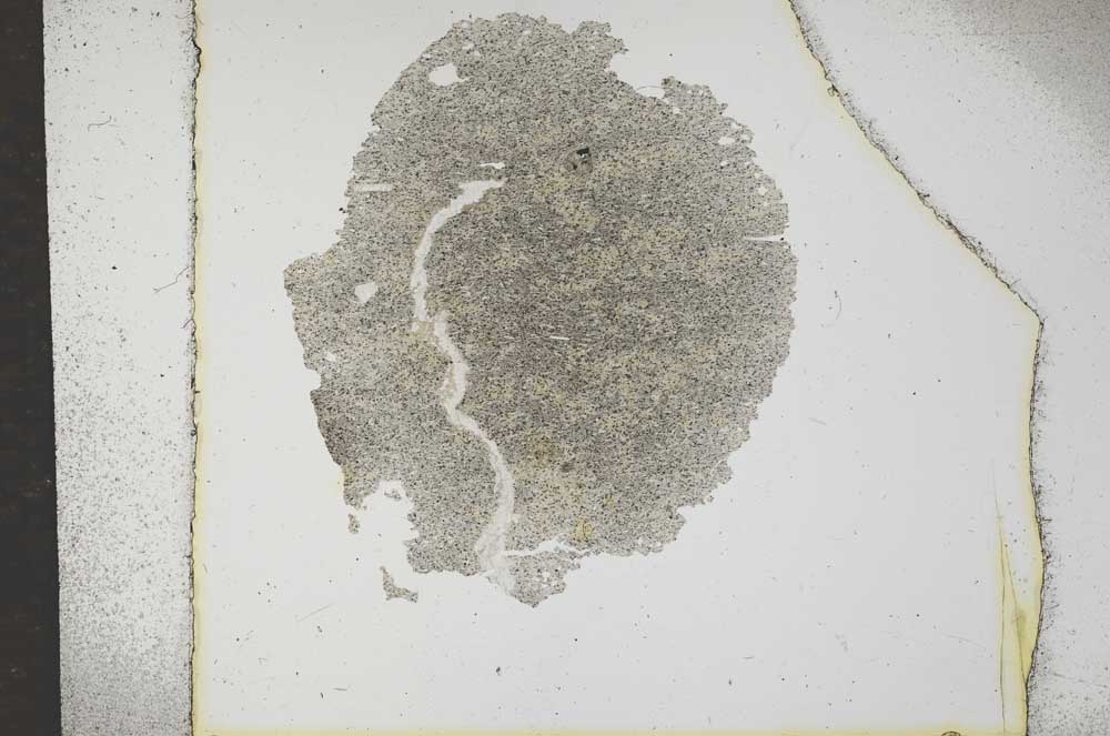 Plane Polarized, S16992