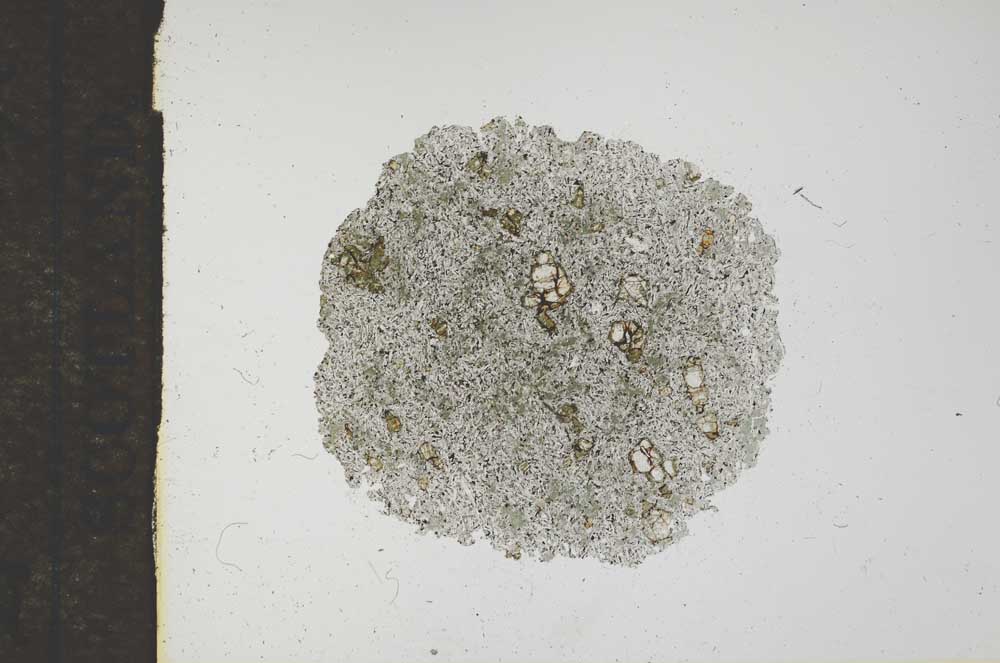 Plane Polarized, S16993